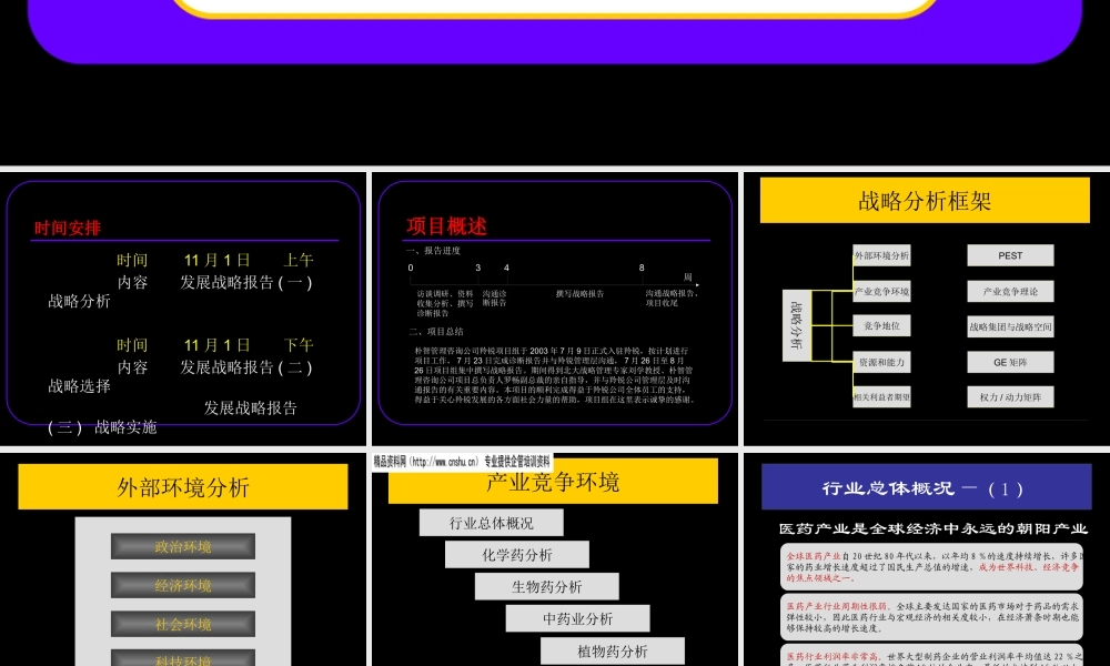 ××制药股份有限公司发展战略报告（PPT71页）