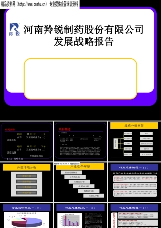 ××制药股份有限公司发展战略报告（PPT71页）