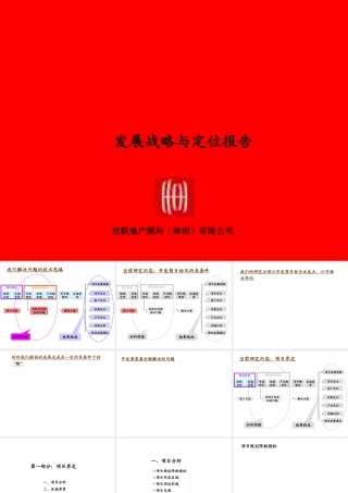 世联—发展战略与定位报告模板