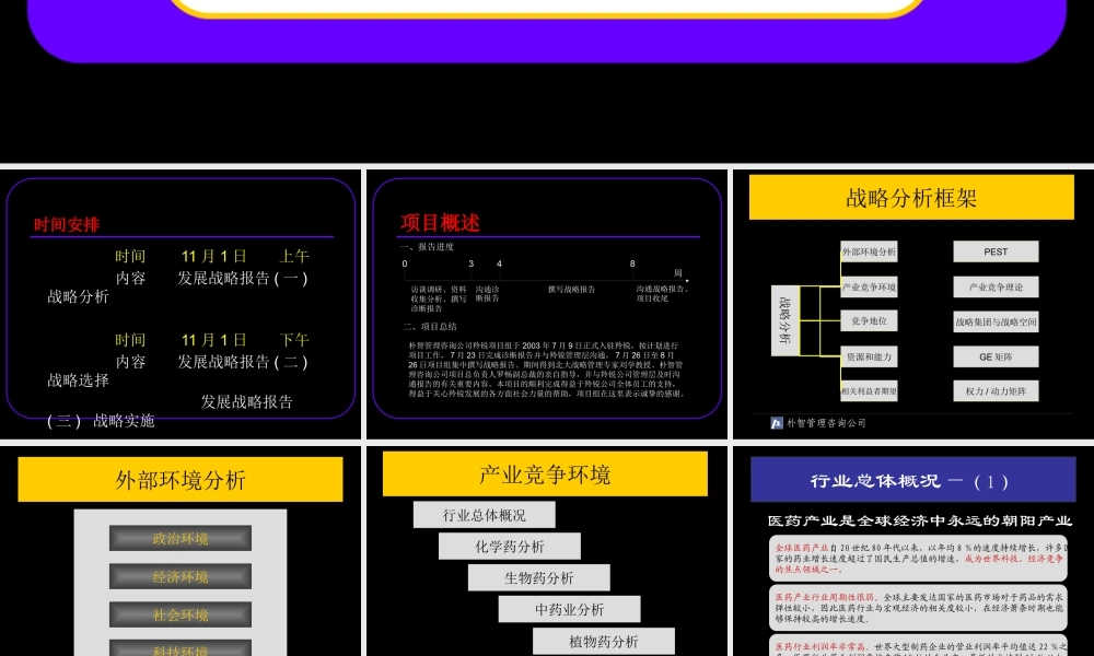 ××制药股份有限公司发展战略报告