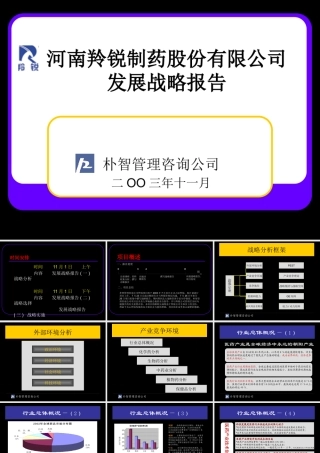 ××制药股份有限公司发展战略报告