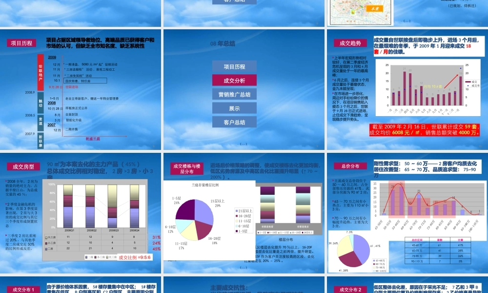 世联房地产年度总结及年策略总纲