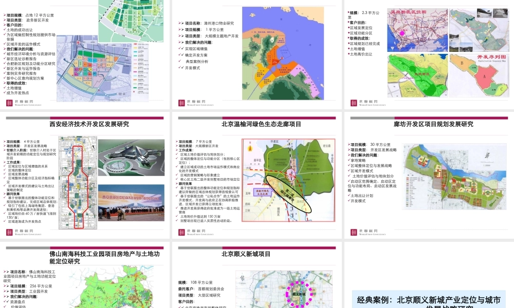 世联-房地产区域开发顾问流程