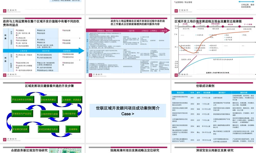 世联房地产区域开发顾问流程168503375