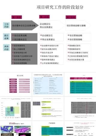 世联公寓项目产品定位147p别墅社区发展策略f