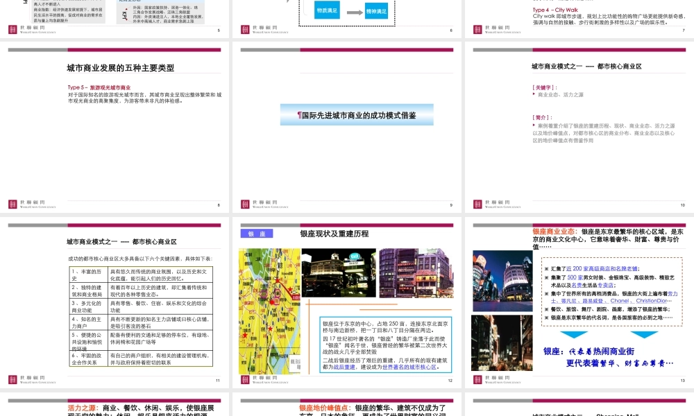 世联-关于城市商业的发展模式研究-70PPT