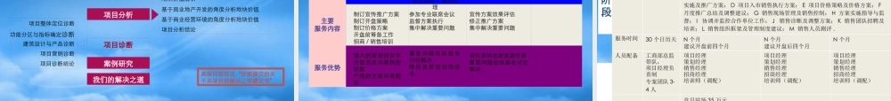 世联-关于集中式商业项目的观点与经验分享