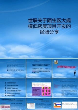 世联-关于陌生区大规模低密度项目开发的经验分享