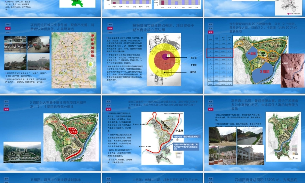 世联-贵阳中天世纪新城项目商业定位报告-143PPT