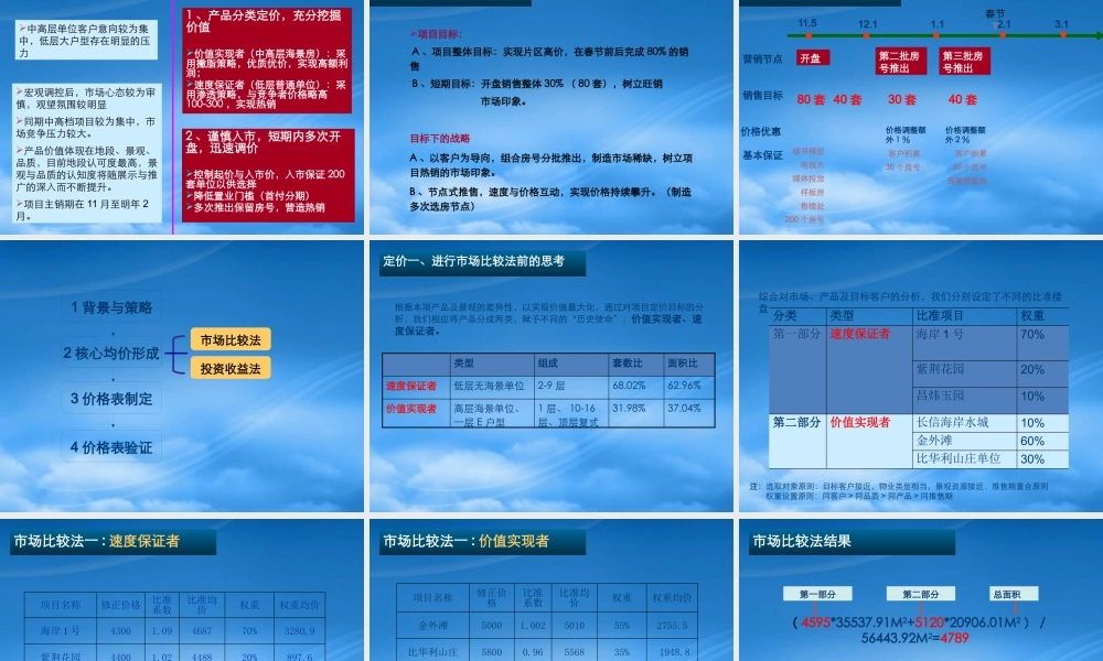 世联--海口美源日月城地产项目价格报告