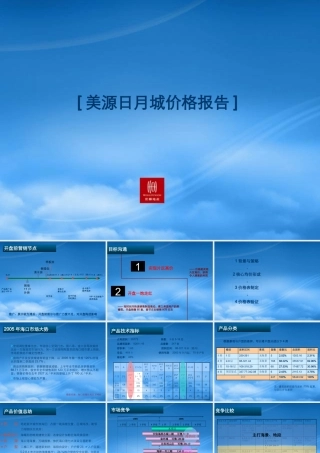 世联--海口美源日月城地产项目价格报告