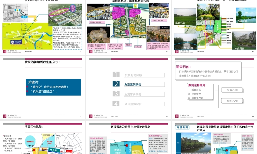 世联-杭州闲林项目整体定位与发展战略（终稿）-156PPT
