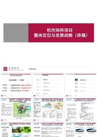 世联-杭州闲林项目整体定位与发展战略（终稿）-156PPT