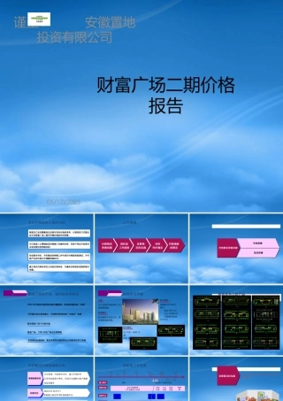 世联-合肥财富广场商业项目二期价格报告-50页