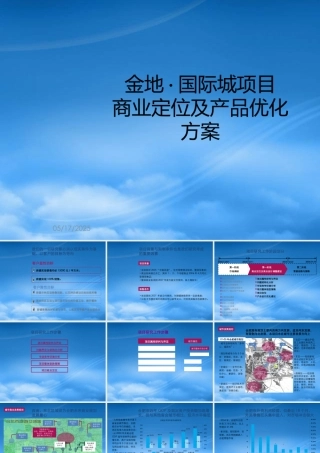 世联合肥金地国际城项目商业定位及产品优化方案