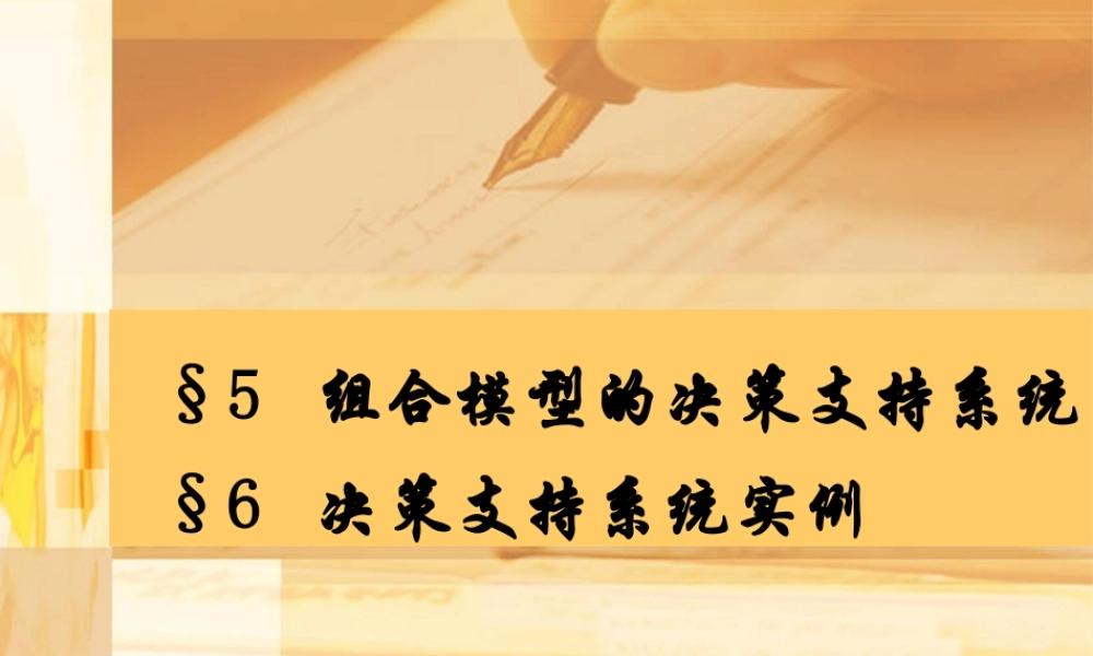 §5组合模型的决策支持系统