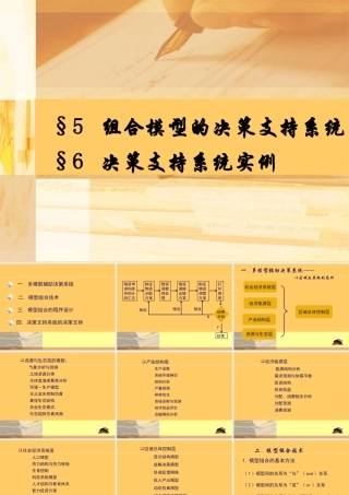 §5组合模型的决策支持系统