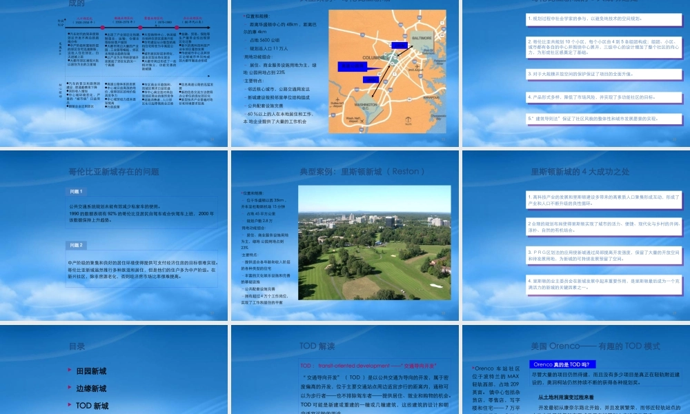世联开发模式与策略大全