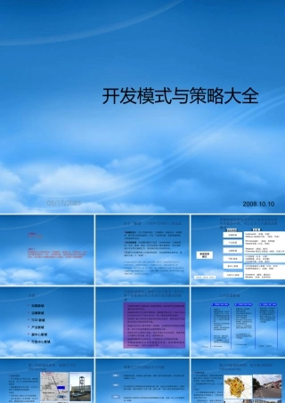 世联开发模式与策略大全153671689