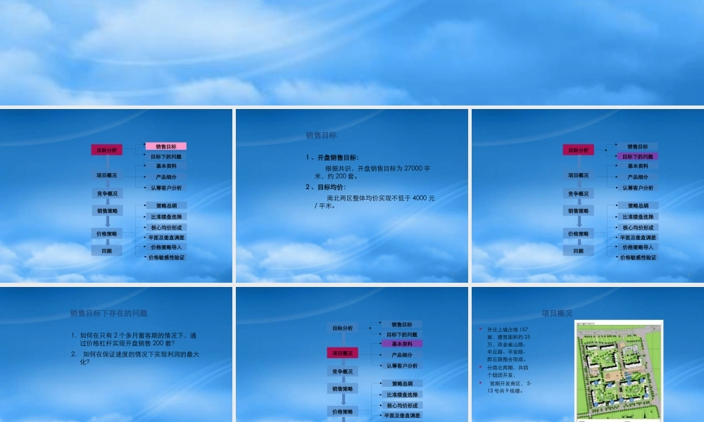 世联-临沂开元上城项目价格方案