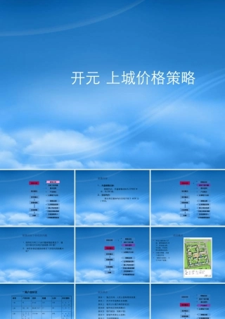 世联-临沂开元上城项目价格方案