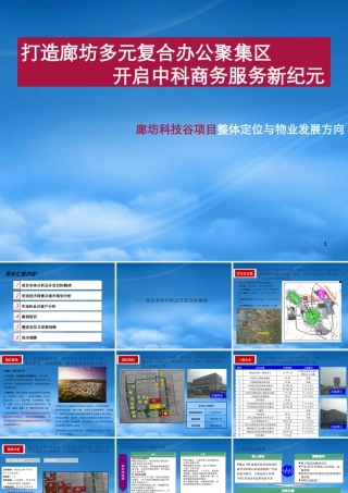 世联某产业园区开发战略定位方案