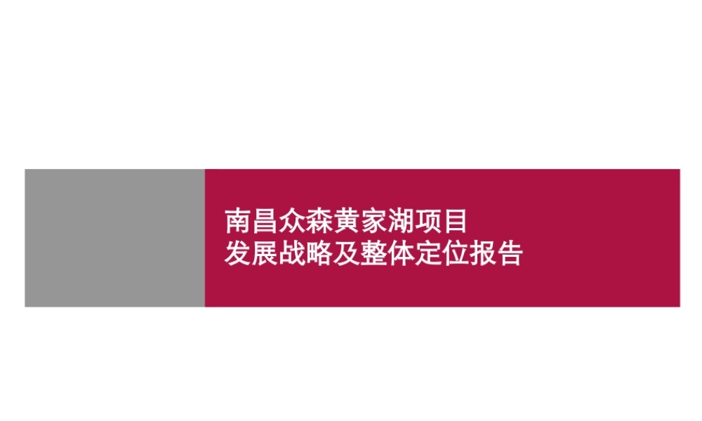 世联-南昌众森黄家湖项目发展战略及整体定位报告-219PPT