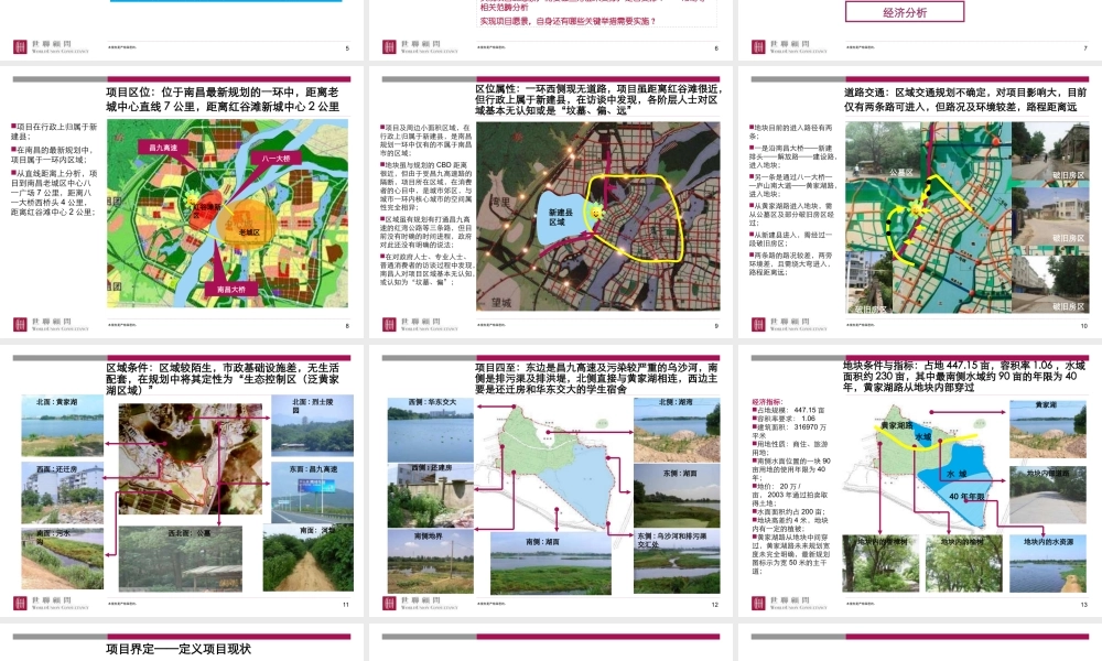 世联-南昌众森黄家湖项目发展战略及整体定位报告-219PPT