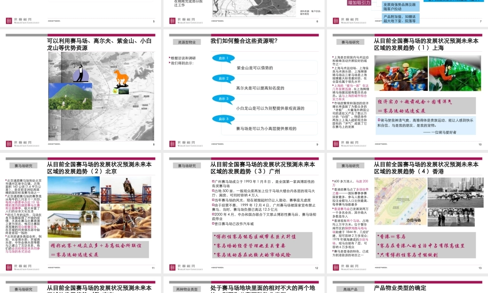 世联-南京马会置业马场项目定位及总体发展战略-155PPT