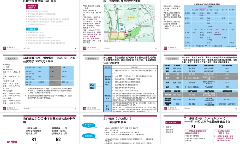 世联-南京马会置业马场项目定位及总体发展战略-155PPT