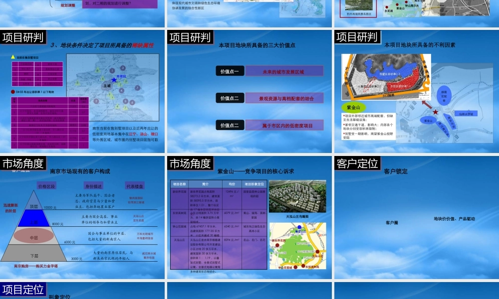 世联-南京阳光聚宝山别墅项目定位报告竞标77PPT-12M