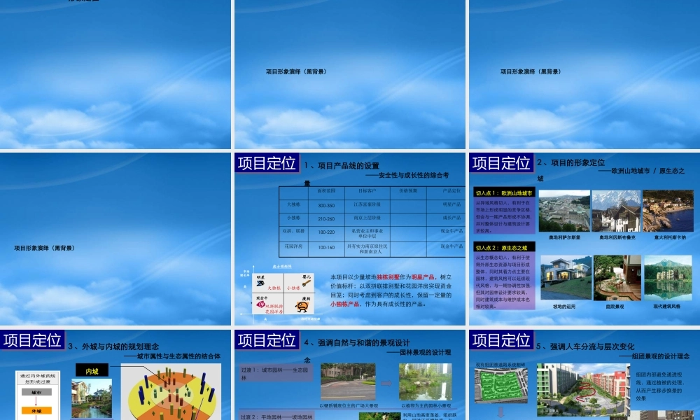 世联-南京阳光聚宝山别墅项目定位报告竞标77PPT-12M