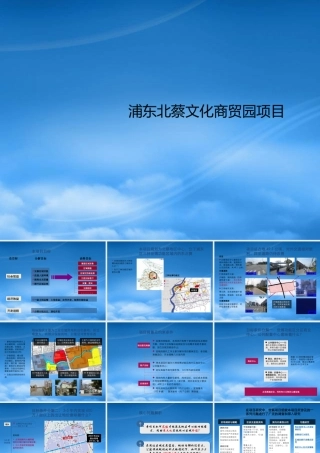世联—浦东北蔡商贸文化园项目整体定位及开发策略—178页
