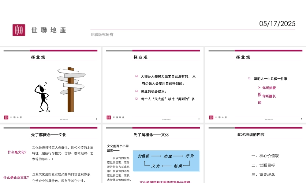 世联企业文化（PPT43页)