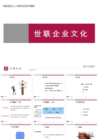 世联企业文化（PPT43页)