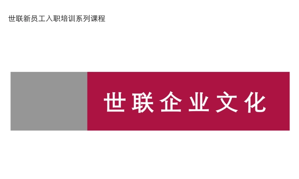 世联企业文化