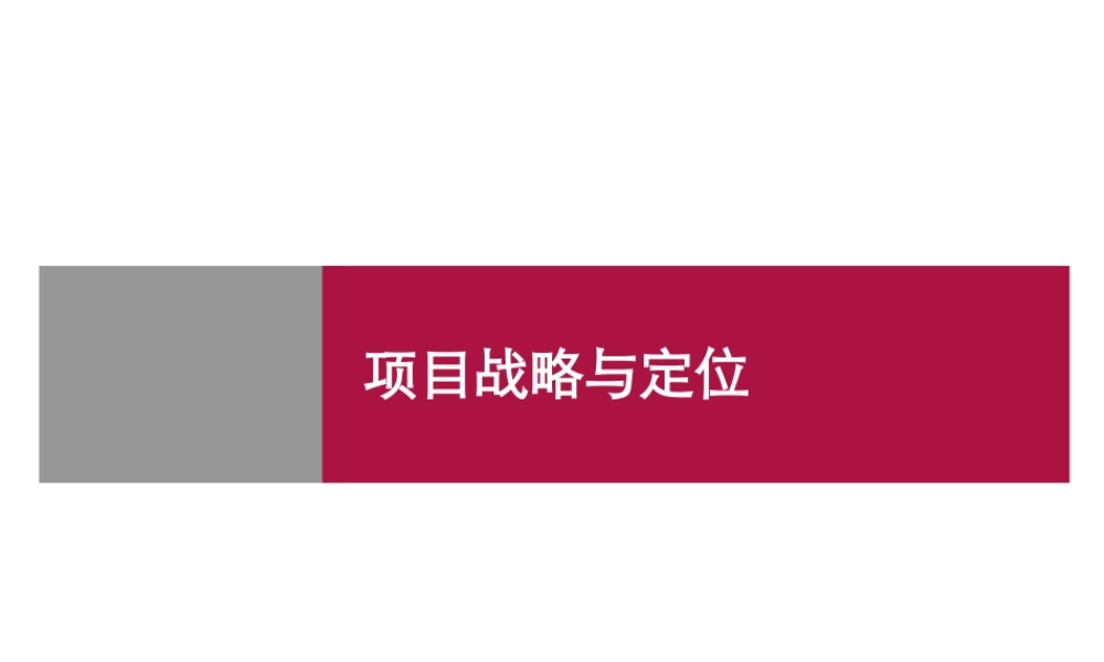 世联前期策划