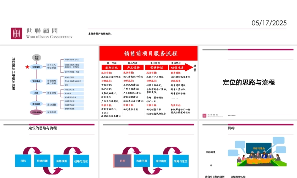 世联前期策划报告(模版)