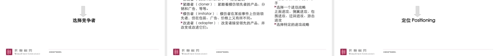 世联前期策划报告(模版)