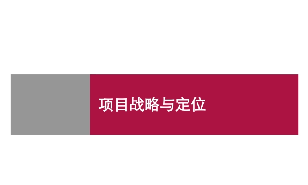 世联-前期策划报告(整合版)模板（PPT41页)