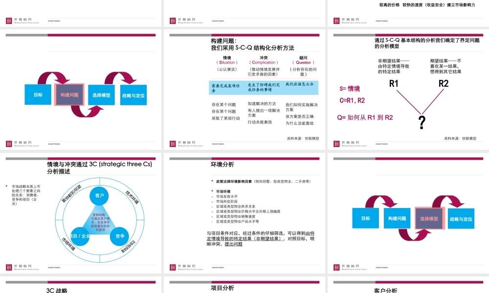 世联-前期策划报告(整合版)模板（PPT41页)