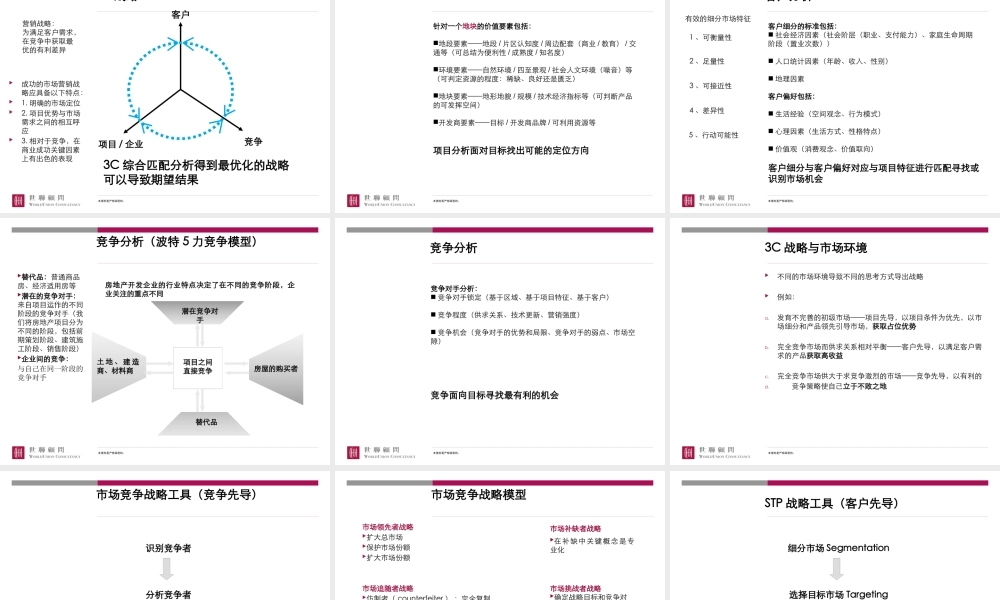 世联-前期策划报告(整合版)模板（PPT41页)