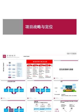 世联-前期策划报告(整合版)模板（PPT41页)