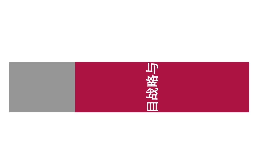 世联前期策划方案(PPT41页)