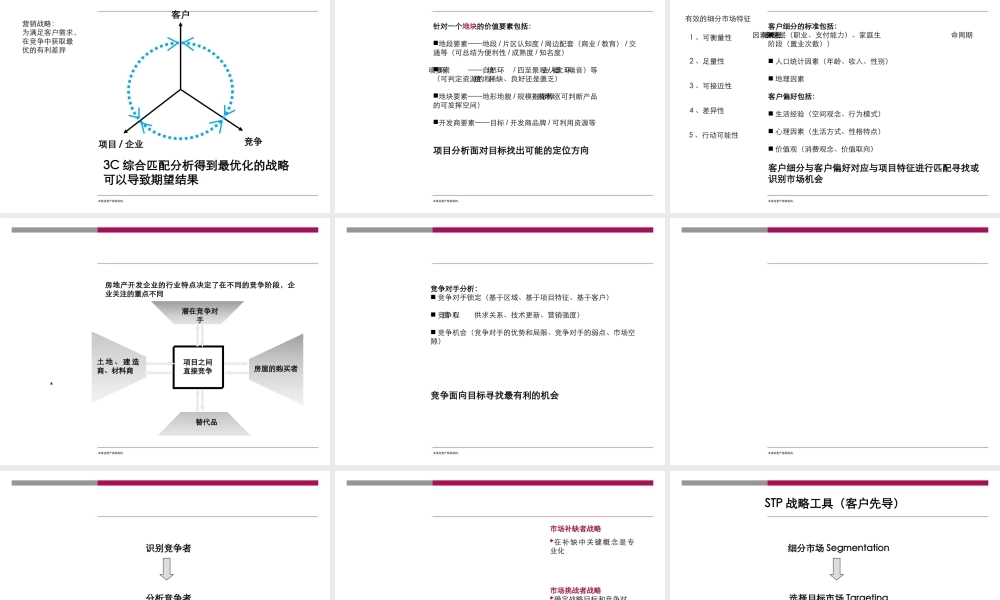 世联前期策划方案(PPT41页)