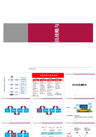 世联前期策划方案(PPT41页)