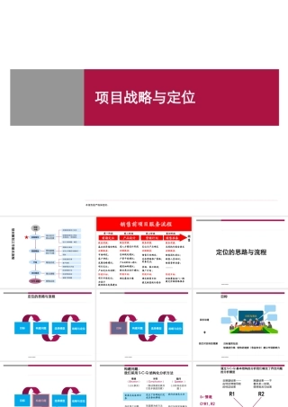 世联前期策划方案
