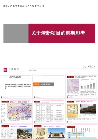 世联-清新县中恒项目前期策划案-62PPT