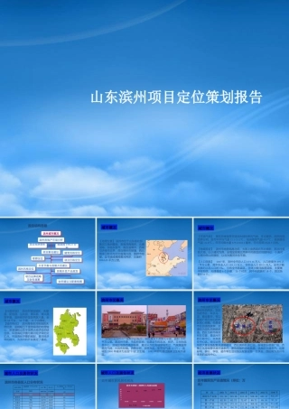 世联-山东省滨州市500亩项目地块产品定位-128ppt