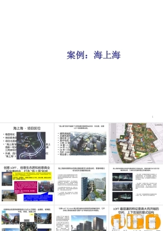 世联上海loft产品案例